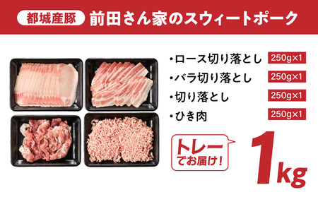 「前田さん家のスウィートポーク」肉肉肉1kgセット≪みやこんじょ快速便≫_AA-89-002-1kg-R_(都城市) 豚肉 豚 ブランド豚 ロース バラ 切り落とし ひき肉 セット 1kg 肉 料理 