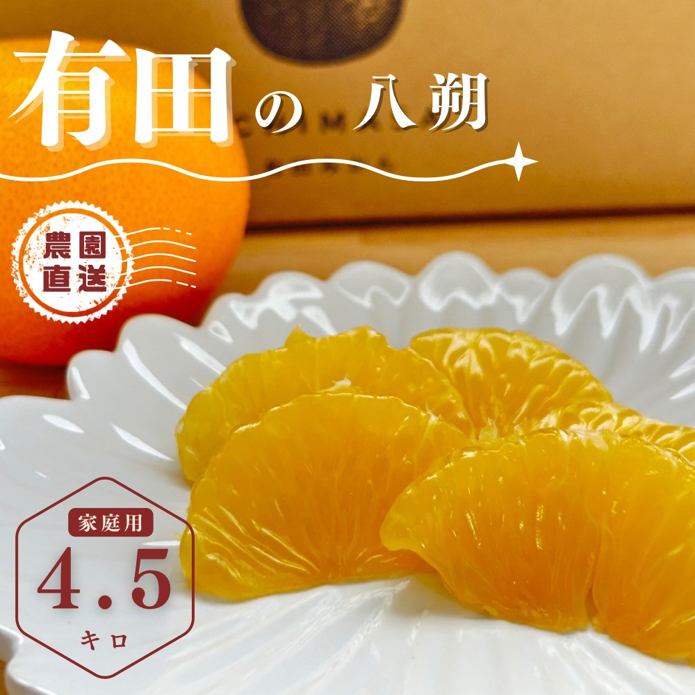 【ふるさと納税】【先行予約】 八朔 4kg 家庭用 サイズ混合 柑橘 フルーツ はっさく 産地直送 お取り寄せ 送料無料