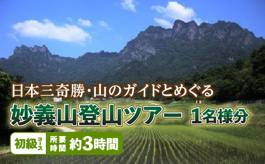 
日本三奇勝・山のガイドとめぐる妙義山登山ツアー1名様分【初級コース】 F20E-719
