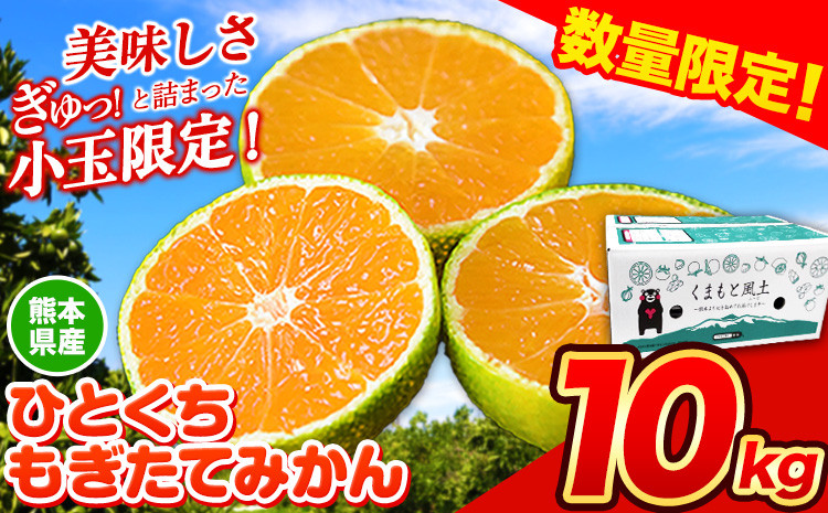 【先行予約】 今だけ！ 増量中！ 先行予約 みかん ひとくちもぎたて みかん 約10kg (10kg×1箱) S-3Sサイズ 訳あり ご家庭用 熊本県産 （荒尾市産含む） ちょっと訳あり 期間限定 フルーツ 秋 旬 柑橘 小玉 みかん《2023年9月下旬-10月下旬頃より順次出荷》