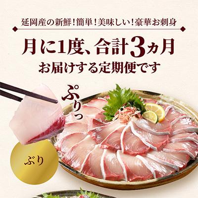 ふるさと納税 延岡市 【毎月定期便】【ふるさと納税】活〆鮮魚のお刺身 全3回 |  | 01