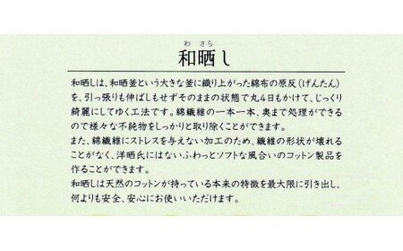和晒し　ダブルガーゼ掛け布団カバー　ダブルロングサイズ_ブルー【G0210】
