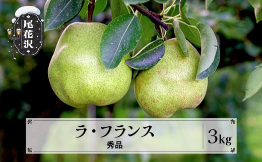 先行予約 ラ・フランス秀品 約3kg 11月中旬~12月中旬頃発送 山形県産 フルーツ 果物 くだもの ラフランス 洋梨 西洋梨 2025年産 令和7年産 佐竹物産 sb-lasyx3