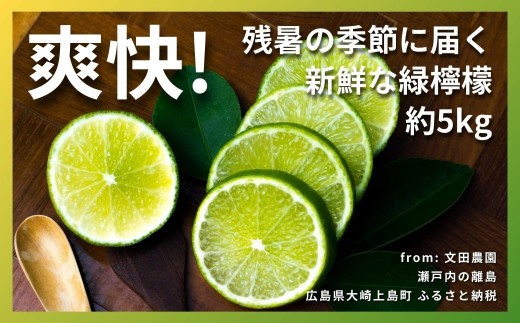 
            ハウスグリーンレモン 約5kg 【2026年9月以降発送】 レモン 檸檬 れもん グリーン 瀬戸内 広島 大崎上島 柑橘 フルーツ 果物 くだもの 国産
          