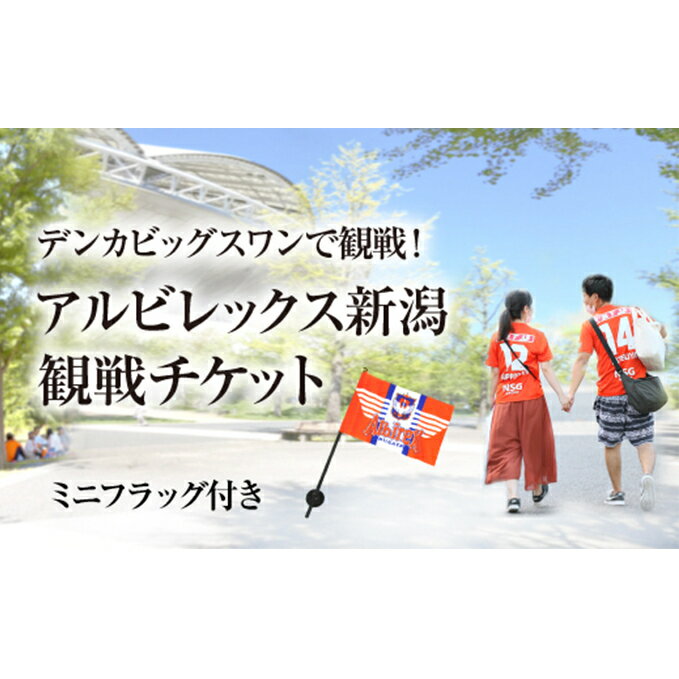 【ふるさと納税】アルビレックス新潟の観戦チケット・グッズセット