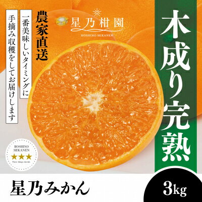 【ふるさと納税】【三つ星ブランド】星乃みかん(3kg/4.5kg/5.5kg)【G1625777】