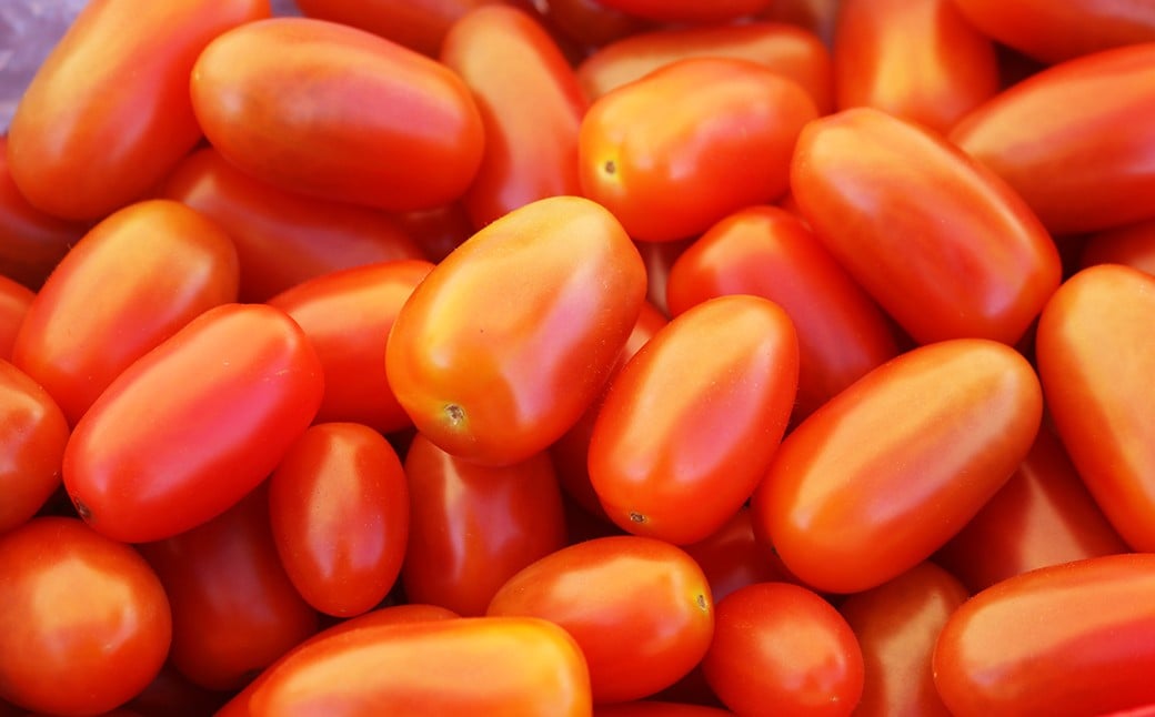 フラガールは、赤く艶やかな楕円形、中央がキュッと締まった珍しいフォルム。