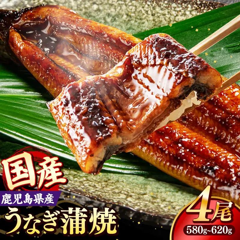 国産 うなぎ 蒲焼き（鹿児島県産） 4尾 (580〜620g) 【国産100％ 鰻 ウナギ 蒲焼 土用丑の日 丑の日 冷凍 魚介 海鮮 おかず お祝い ご褒美 贅沢 おすすめ 人気 花立山養鰻 福岡県 筑前町 HY003】