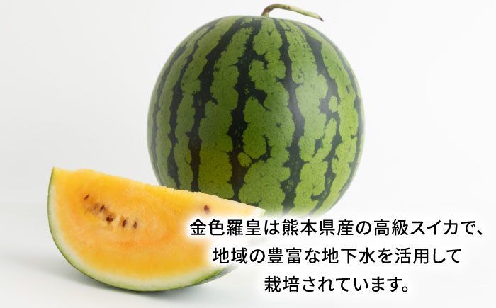 【先行予約】【数量限定】金色羅皇 スイカ 2L以上 1玉 約7kg 【日本フルーツ株式会社】 [ZFJ008]