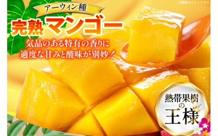 【2027年発送】マンゴー 完熟 秀品 アーウィン種 約 1kg (2〜3玉)