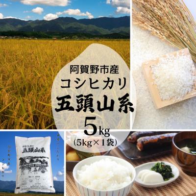 ふるさと納税 阿賀野市 【令和7年産】コシヒカリ5kg「米屋のこだわり阿賀野市産」 |  | 01