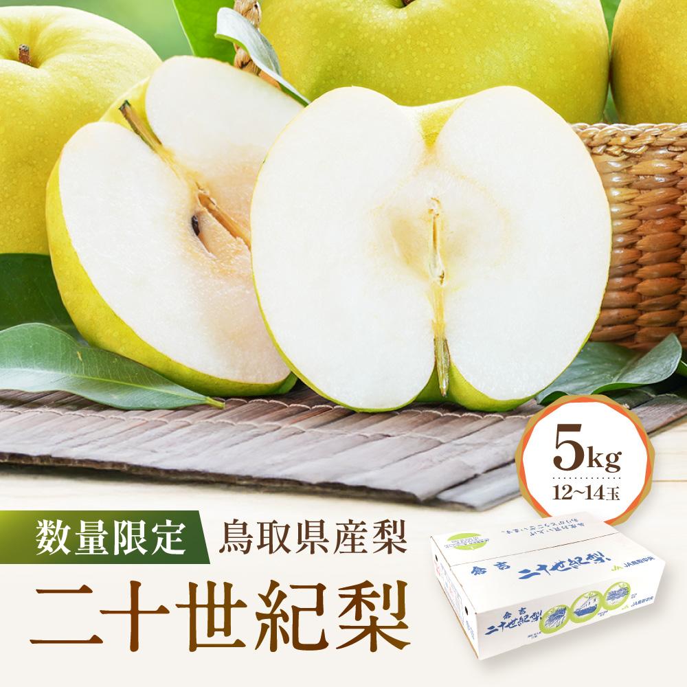 【ふるさと納税】【先行予約】数量限定 鳥取県産梨 二十世紀梨 5kg（12～14玉） | 梨 なし 二十世紀梨 二十世紀 5kg 果物 フルーツ ナシ 甘い 果汁 和梨 箱 甘み くだもの 国産 二十世紀 にじゅっせいき なし 果実 鳥取県 琴浦町