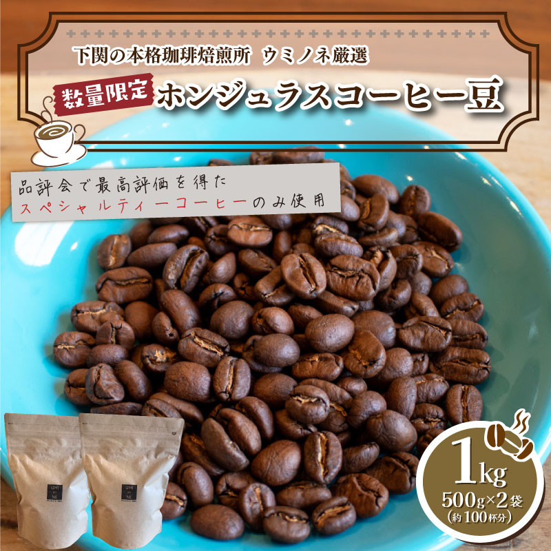 
訳あり コーヒー豆 1kg ( 500g × 2袋 ) 数量限定 選べる 煎り方 深煎り 中深煎り 浅煎り ホンジュラス 珈琲 自家焙煎 下関 山口
