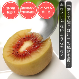 【先行予約】 輝らり果樹園 レインボーレッドⓇキウイ （プレミアムサイズ 6個入） ｜ 2025年11月下旬～12月中旬頃発送 ｜ 愛媛産 高糖度 赤い果肉 国産 高級キウイ