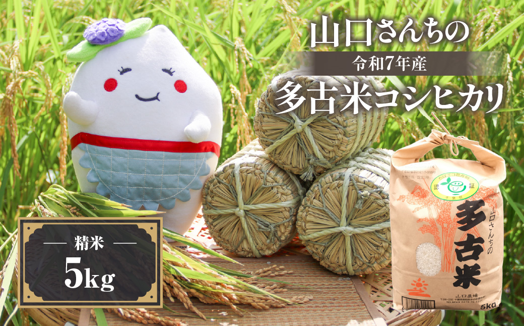 山口さんちの【令和7年産】多古米コシヒカリ(精米)5kg【配送不可地域：離島・沖縄県】 TAKF043