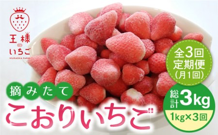 【全3回定期便】王様のいちご 1kg冷凍いちご むらおか農園 HAF011 冷凍いちご冷凍いちご冷凍いちご