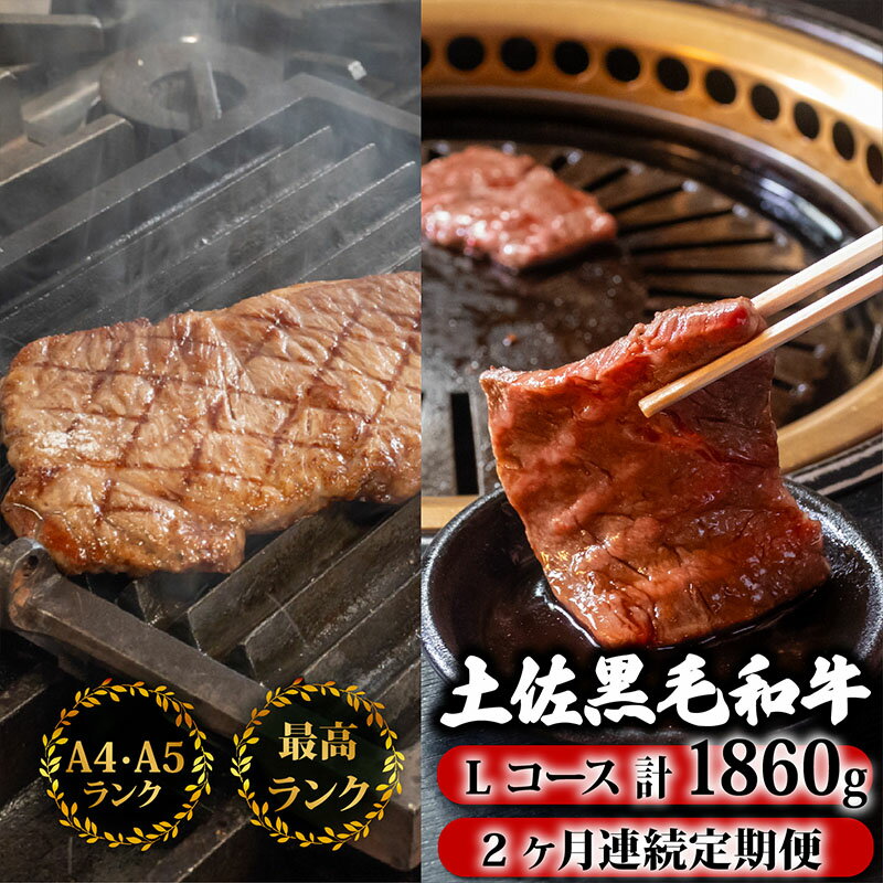 【ふるさと納税】 【2回定期便】土佐黒毛和牛 食べ比べ 1860g (計1.8kg以上) | Lコース 厳選 国産 和牛 焼き肉 ステーキ お肉 霜降り 牛肉 モモ肉 もも肉 サーロイン 人気 贈答 ギフト プレゼント 小分け 数量限定 2ヵ月 頒布会 老舗 たけうちミート 高知県 須崎市 TM14000