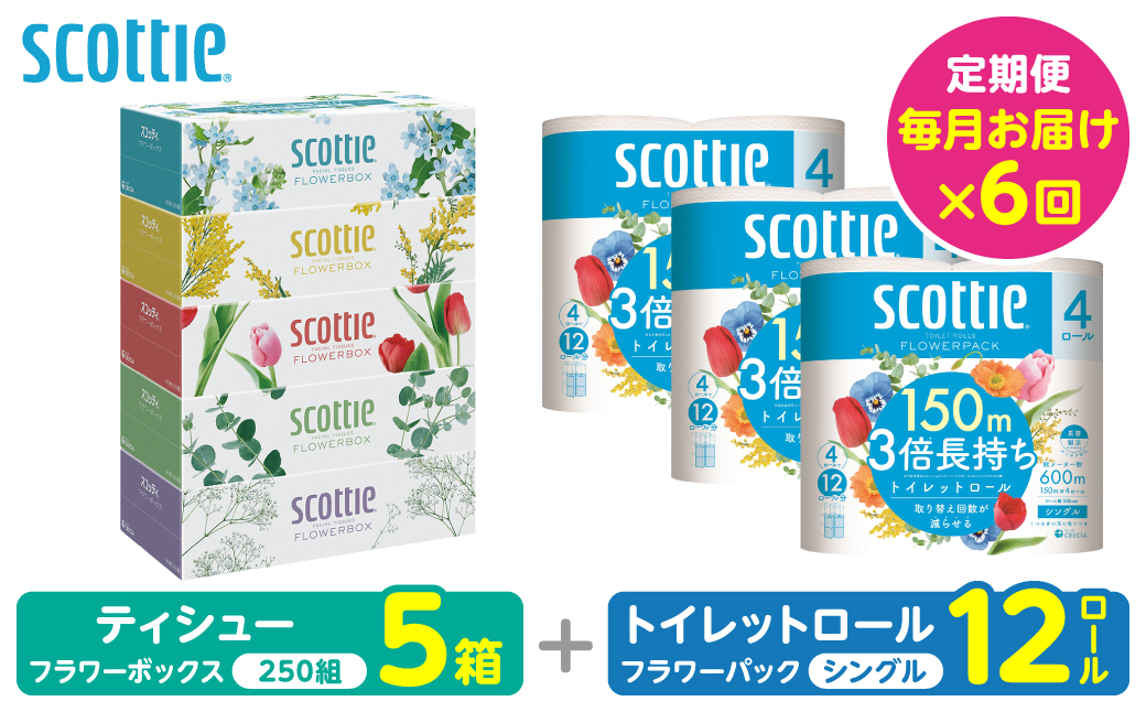 【定期便6回】【毎月お届け】【スコッティ】 組み合わせ ティシュー フラワーボックス 250組 5箱 計30箱 トイレットロール シングル フラワーパック 3倍長持ち 12ロール 計72ロール ティッシュ トイレットペーパー 日用品 ストック 防災備蓄 ストック 備蓄 新生活 防災 消耗品 生活用品 日用消耗品 箱ティッシュ