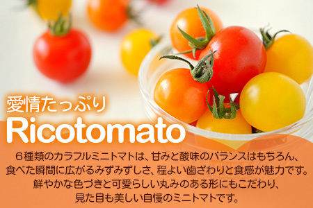 【2回定期便】【先行受付】2027年1月より順次発送 カラフルミニトマト6種 1kg ミニトマト プチトマト 定期便 農家直送 たにぐちファーム Ricotomato～とりこになるトマト～ D-92