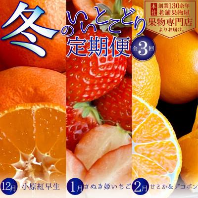 ふるさと納税 観音寺市 【発送月固定定期便】冬のいいとこどり定期便♪(12月・1月・2月)全3回
