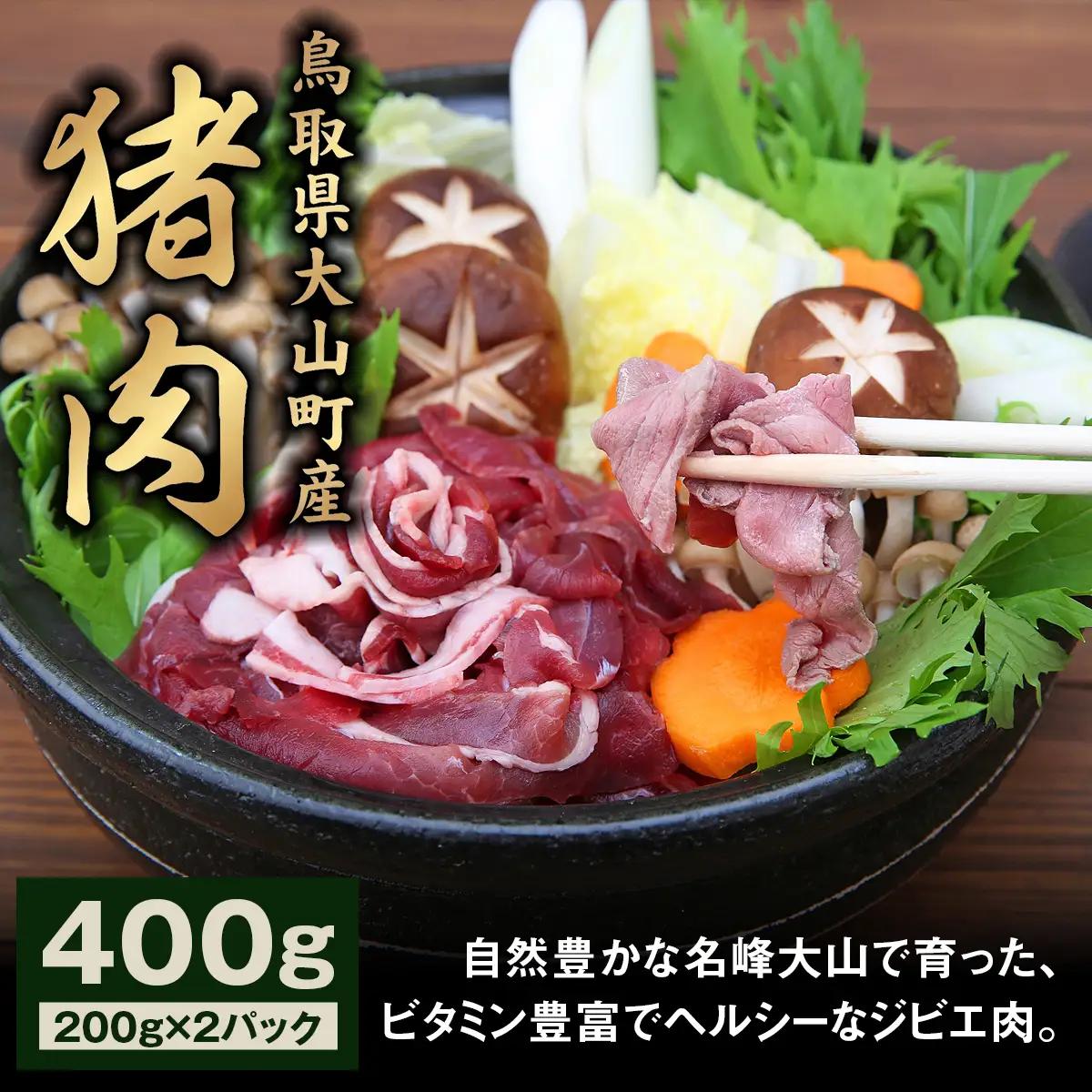 GB-01　猪肉モモ 400ｇ