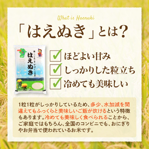 【令和7年産米】※2026年4月中旬開始※ はえぬき60kg（20kg×3回）隔月定期便 山形県産 【JAさがえ西村山】ka008-009d-r7-04082 先行受付 米 送料無料 ブランド米 白米