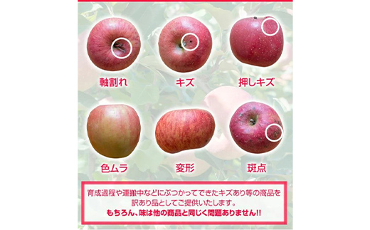令和7年産 山形県中山町産 サンふじりんご＜訳あり＞ 10kg 32玉～56玉 数量限定 林檎 リンゴ フルーツ 果物 くだもの 家庭用 山形県産 F4A-0380