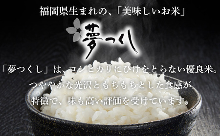 福岡県産米 夢つくしパックごはん 玄米 24P 【14日営業日以内に発送】 CY004
