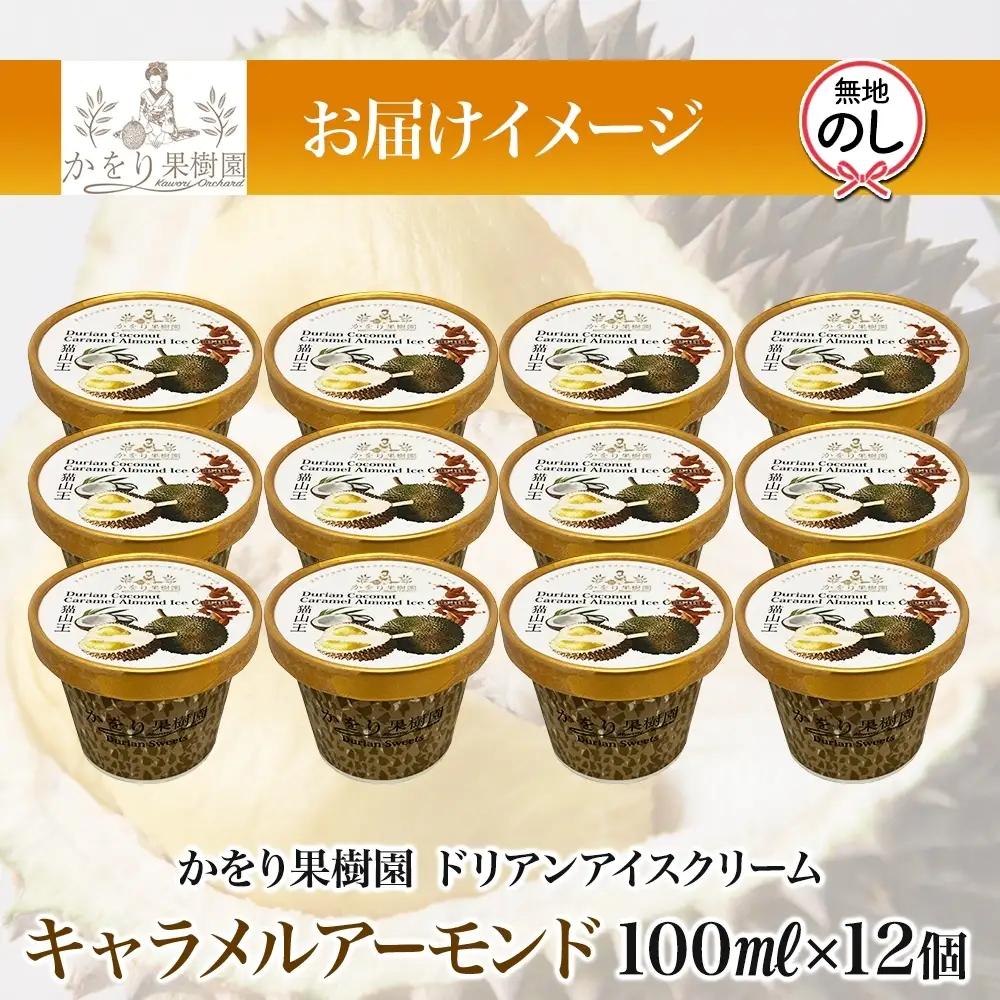 無地熨斗 ドリアン ココナッツ キャラメルアーモンド アイスクリーム 100ml 12個 ココナッツ キャラメル