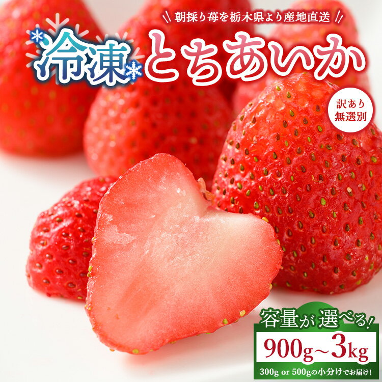 【ふるさと納税】【選べる容量】【訳あり】冷凍いちご とちあいか 900g（300g×3）・1.8kg（300g×6）・3kg（500g×6） ｜ 生産者直送 人気の新品種 無選別訳あり 冷凍 いちご 栃木県壬生町産 果物 フルーツ 苺 イチゴ スムージー ジャム 不揃い 小分け