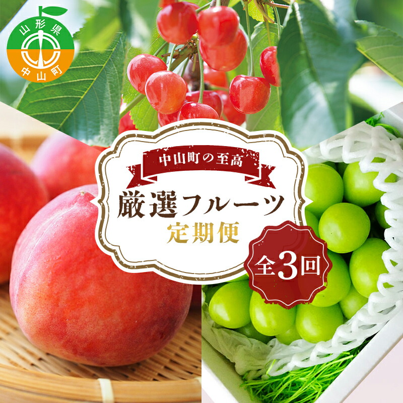 《2026年5月発送開始》中山町の至高！中山町厳選フルーツ定期便 全3回 紅さやか 白桃 シャインマスカット さくらんぼ サクランボ 葡萄 ぶどう ブドウ 桃 もも モモ 山形県産 フルーツ 果物 くだもの 連続 F4A-0373