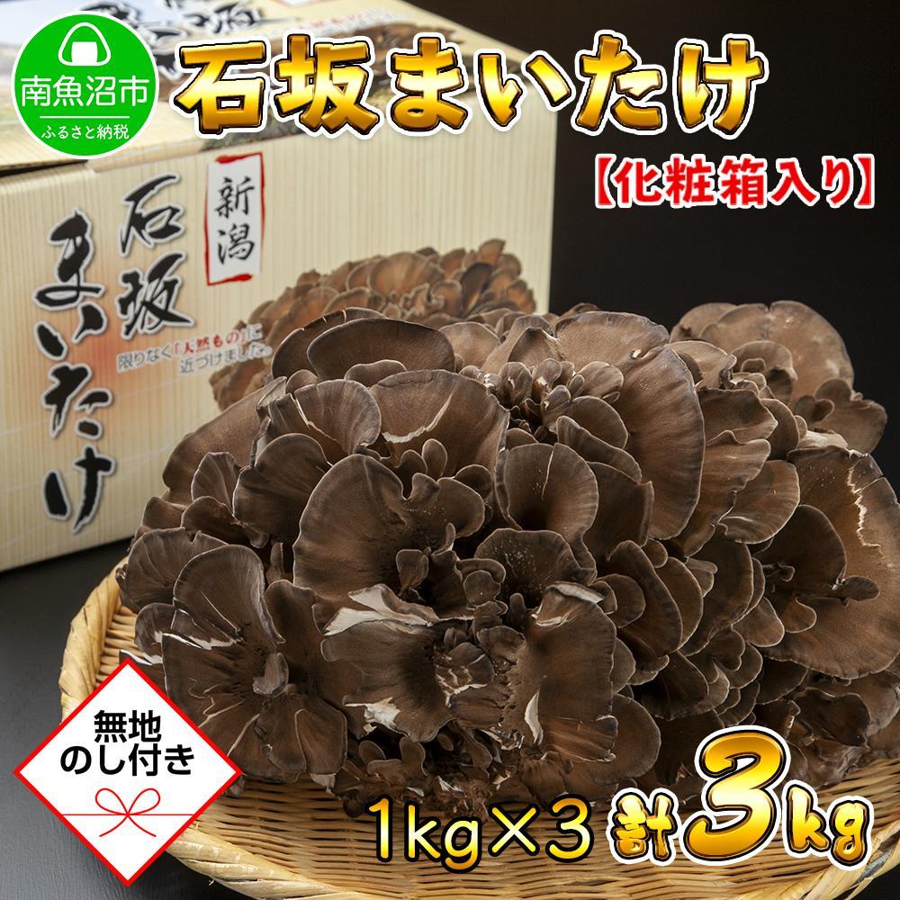 【ふるさと納税】【無地のし】 新潟県 南魚沼産 厳選 国産 石坂 高級 舞茸 まいたけ 産地直送 1kg ×3箱 計3kg 贈り物 ギフト お中元 お歳暮 石坂きのこ | 野菜 やさい 食品 人気 おすすめ 送料無料