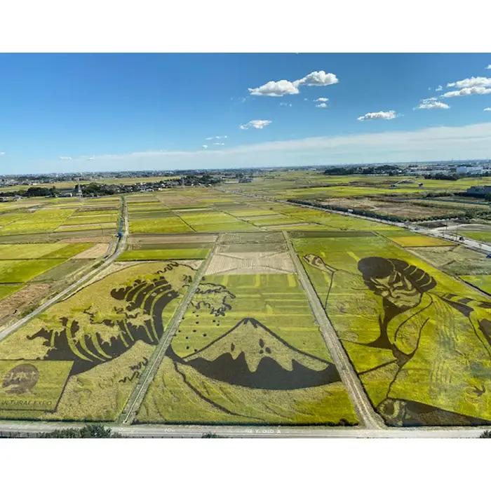 古代蓮会館・夜間特別鑑賞券～展望室から夕日と夜景を貸切で！～ No.338