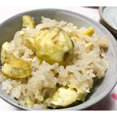 ふるさと納税 福知山市 秦栗園のあま〜い氷蔵丹波栗 早生玉造2L むき500g【熟成】10月中旬発送 |  | 01