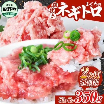 ふるさと納税 田野町 〜四国一小さなまち〜≪カネアリ水産≫まぐろのネギトロ 350g(70g×5パック)★2ヶ月定期便★