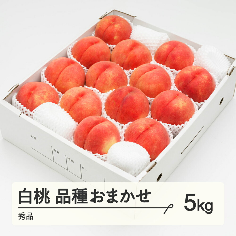 【ふるさと納税】【先行予約】 もも 白桃 秀品 品種おまかせ 化粧箱入り 約5kg 令和8年産 2026年産 山形県産 果物 送料無料 ns-mohtx5※沖縄・離島への配送不可