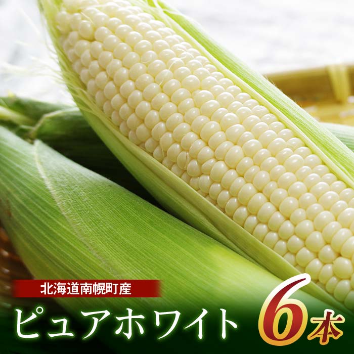 【ふるさと納税】令和8年発送 北海道産 とうもろこし ピュアホワイト6本 朝採れ 一番果 産地直送 とうきび 南幌町 NP1-178