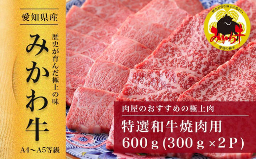 【みかわ牛】特選和牛焼肉用600ｇ | みかわ牛 特選 和牛 焼肉 焼肉用 牛肉 国産牛 600g BBQ バーベキュー 霜降り ごちそう 贈答 ギフト お祝い お取り寄せ グルメ すぎちく 上質なお肉 いいお肉 肉質がいい 高級 リピート 愛知県 豊田市