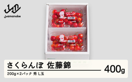 
             さくらんぼ 佐藤錦 秀品 L玉 200g×2パック  2025年産 令和7年産 山形県産 mm-snplx400
          