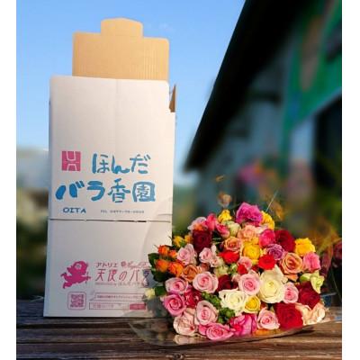 ふるさと納税 杵築市 <全品種が食用利用可能>天使のバラ花束MIXカラー(丈〜35cm/数20〜25本) |  | 03