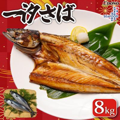 ふるさと納税 銚子市 一汐さば　8kg