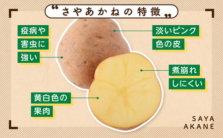 【数量限定】R8年産先行受付 じゃがいも（さやあかね） 有機栽培  10kg | ジャガイモ 芋 さやあかね 馬鈴薯 大容量 新鮮 野菜 煮物 コロッケ ポテトサラダ ポテト 保存 特産 産地直送 北