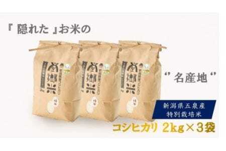 【令和6年度産新米】特別栽培米コシヒカリ100％「南郷米」精米 6kg（2kg×3袋） 有限会社ファームみなみの郷