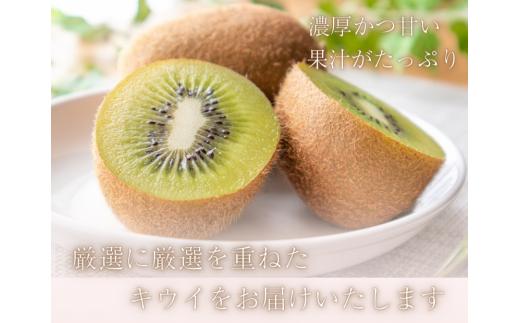 ＜2024年11月より発送＞厳選 キウイフルーツ3kg+90g（傷み補償分）※北海道・沖縄・離島配送不可 / 和歌山 フルーツ 果物 くだもの 旬 キウイフルーツ キウイ 栄養たっぷり【ikd704】