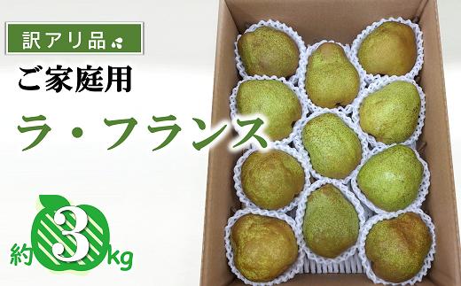 【令和7年産先行予約】 〈訳あり品 家庭用〉 ラ・フランス 約3kg (9～13玉) 《令和7年11月中旬～発送》 『カネタ高橋青果』 ラフランス 果物 フルーツ 山形県 南陽市 [2274]