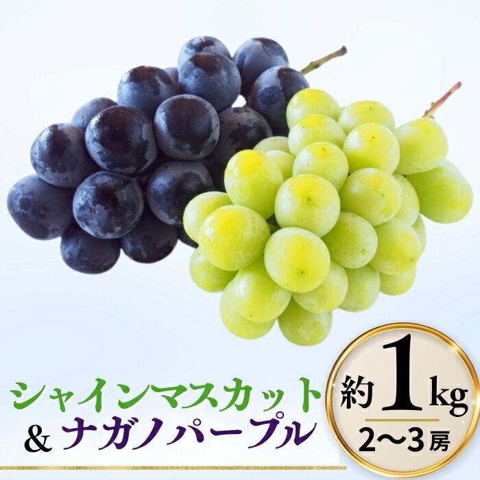 【ふるさと納税】シャインマスカット ＆ ナガノパープル 詰め合わせ セット 計約1kg（2~3房）※最低900g以上 | 果物 フルーツ 白ぶどう 黒ぶどう 葡萄 ブドウ グレープ 種無し 種なし 皮ごと 産地直送 信州 信州ぶどう 信州葡萄 千曲市 長野県