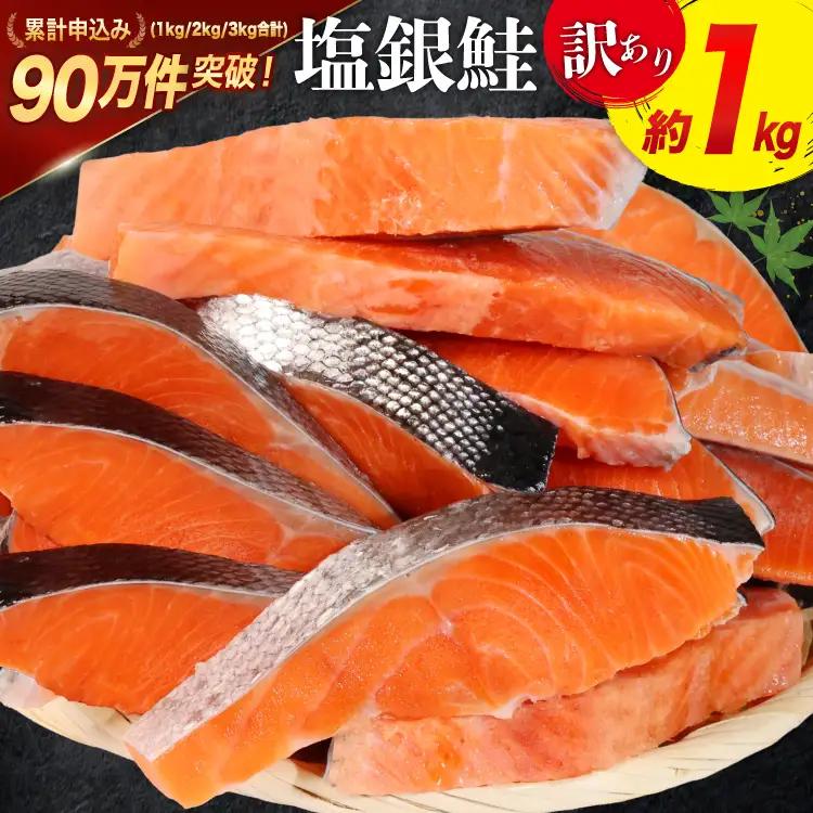 訳あり 銀鮭 切身 約1kg [宮城東洋 宮城県 気仙沼市 20564663]