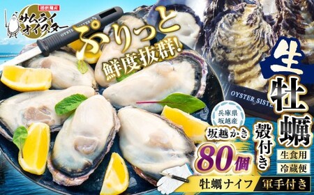 坂越かき 殻付き 80個（牡蠣ナイフ・軍手付き） 牡蠣 カキ 海鮮 貝