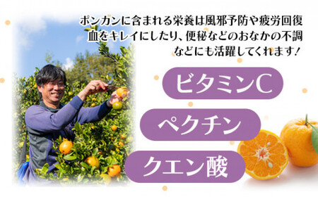【先行予約】訳ありポンカン ＜10kg＞ サイズ混合　HT20 [H-08] 【畠口FARM（畠口　佳養）】