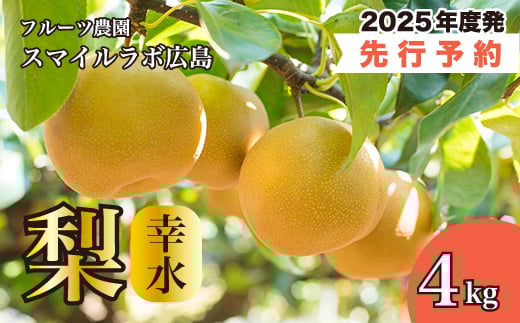 【先行受付】幸水（こうすい）4kg 梨 ナシ なし 新鮮 産地直送 広島県三原市【2025年8月中旬以降順次発送】 059009